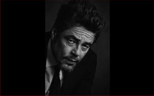 Benicio del Toro resize