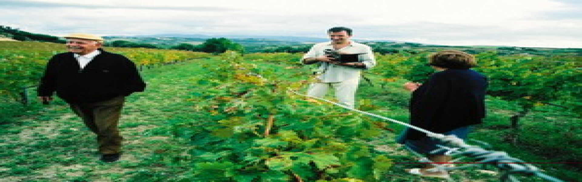 Jonathan_Nossiter_-_Mondovino_resize.jpg