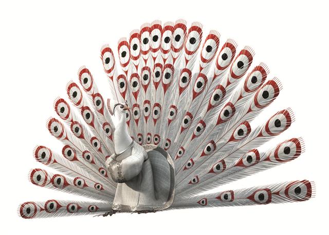 KFP2_CG_Peacock_03.R.jpg_cmyk_Custom