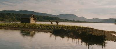 Kukuricný ostrov 2 resize