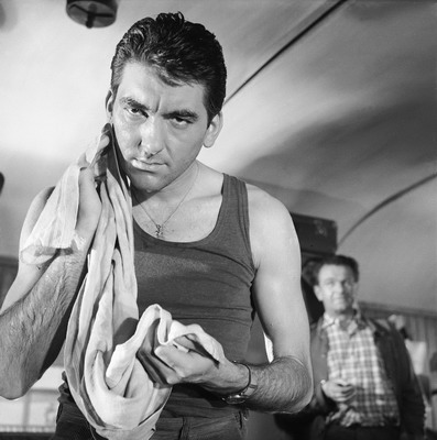 havrania cesta holly resize