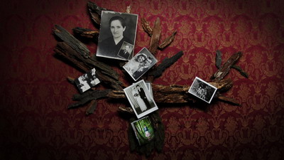 FELVIDEkfotka2 resize