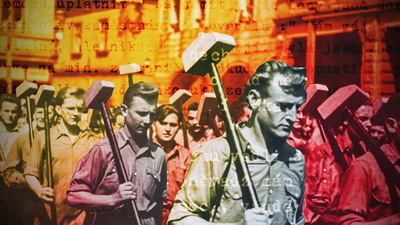 pll zvucka web resize