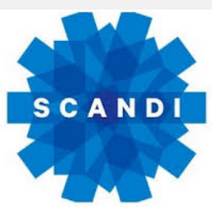 Scandi logo resize