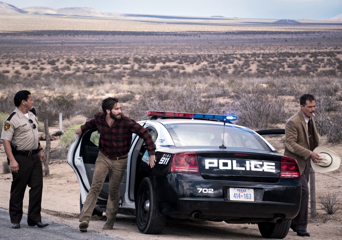 nocturnal animals