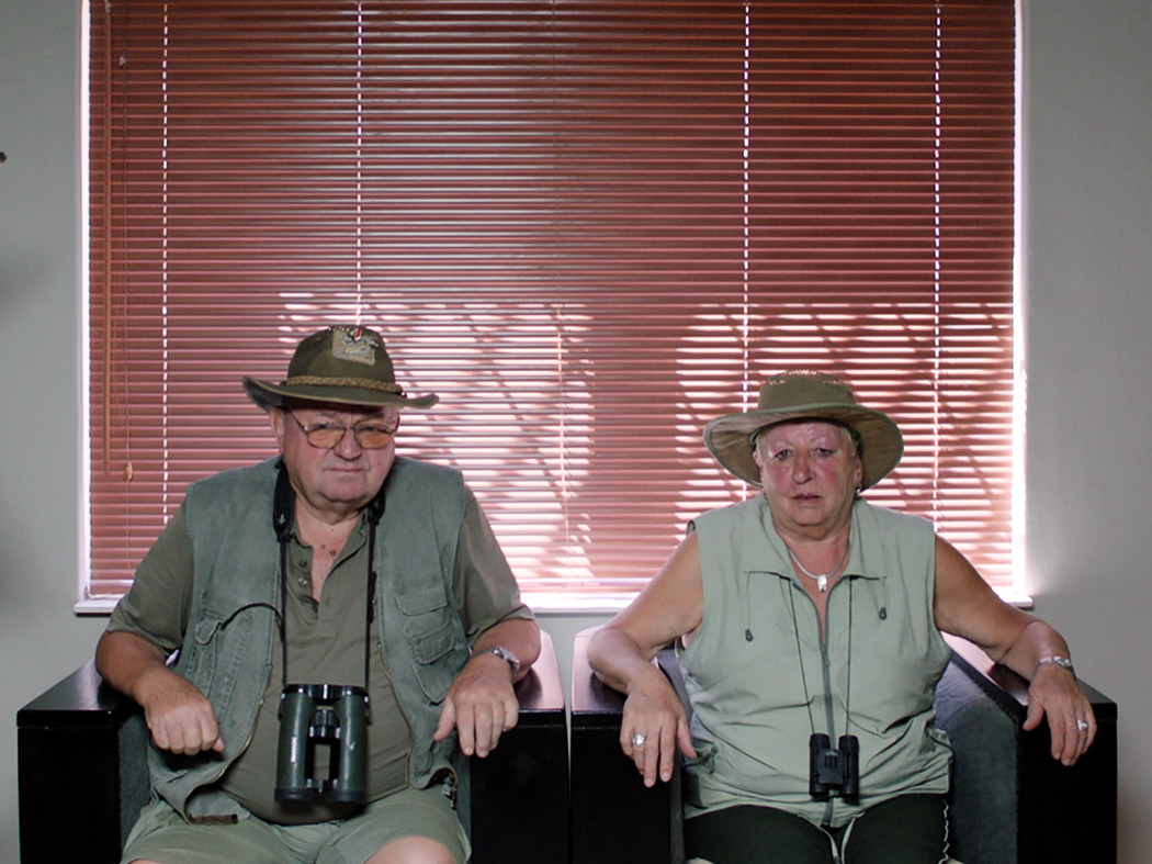 safari
