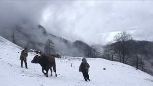 ColdofCAndahar resize