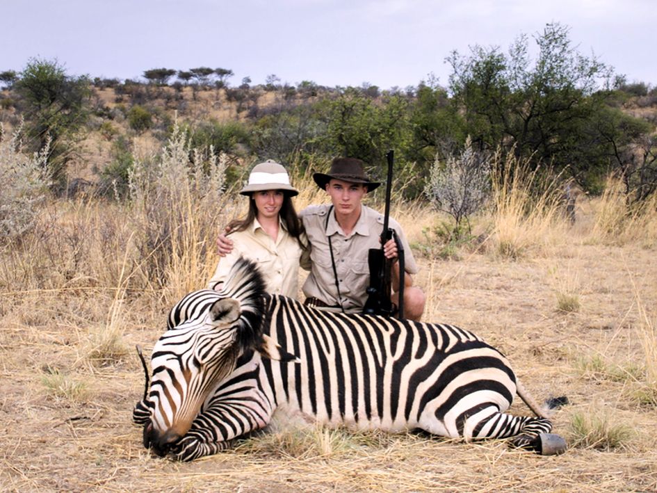 safari