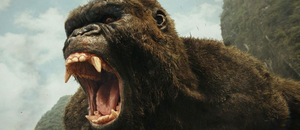 Kong3 resize
