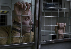 Logan3 resize