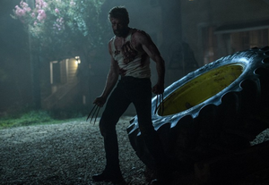Logan8 resize