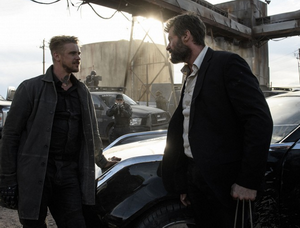 Logan9 resize