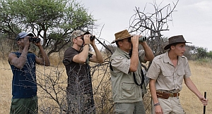 safari3