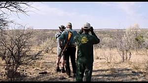 safari9