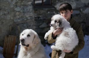 Bella-a-Sebastian-3-Navzdy-priatelmi