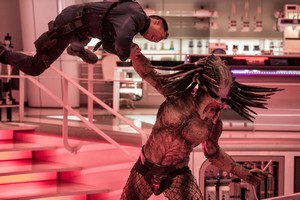 Predator-Evolucia