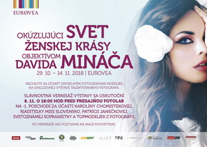 SvetDavidaMinacaPozvanka resize