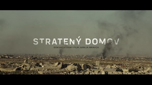 Stratenydomov resize