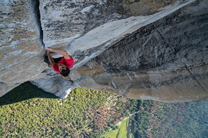 FREESOLO resize