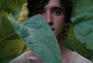 Stastny-Lazzaro