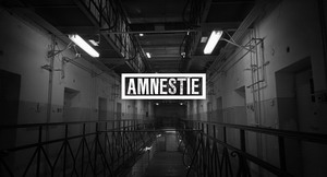 Amnestia2 resize