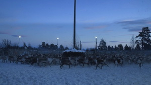 Kiruna2 resize