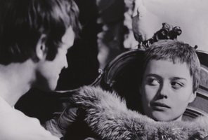 Vtackoviasirotyablazni resize