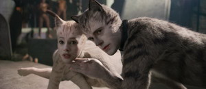 Cats11 resize
