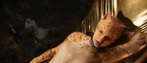 Cats3 resize