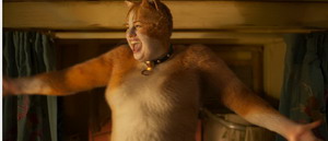 Cats6 resize