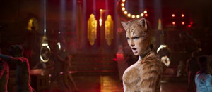 Cats7 resize
