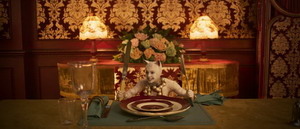 Cats9 resize