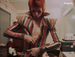 ZiggyStardust4 resize