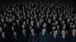 Orwell 225