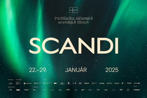 SCANDIvizual resize