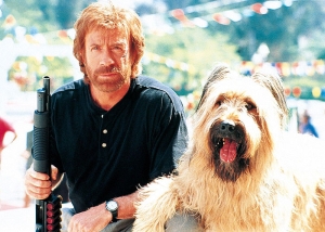 Chuck Norris