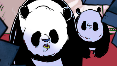 pandy 1 resize