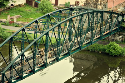 anglick_jahody_2